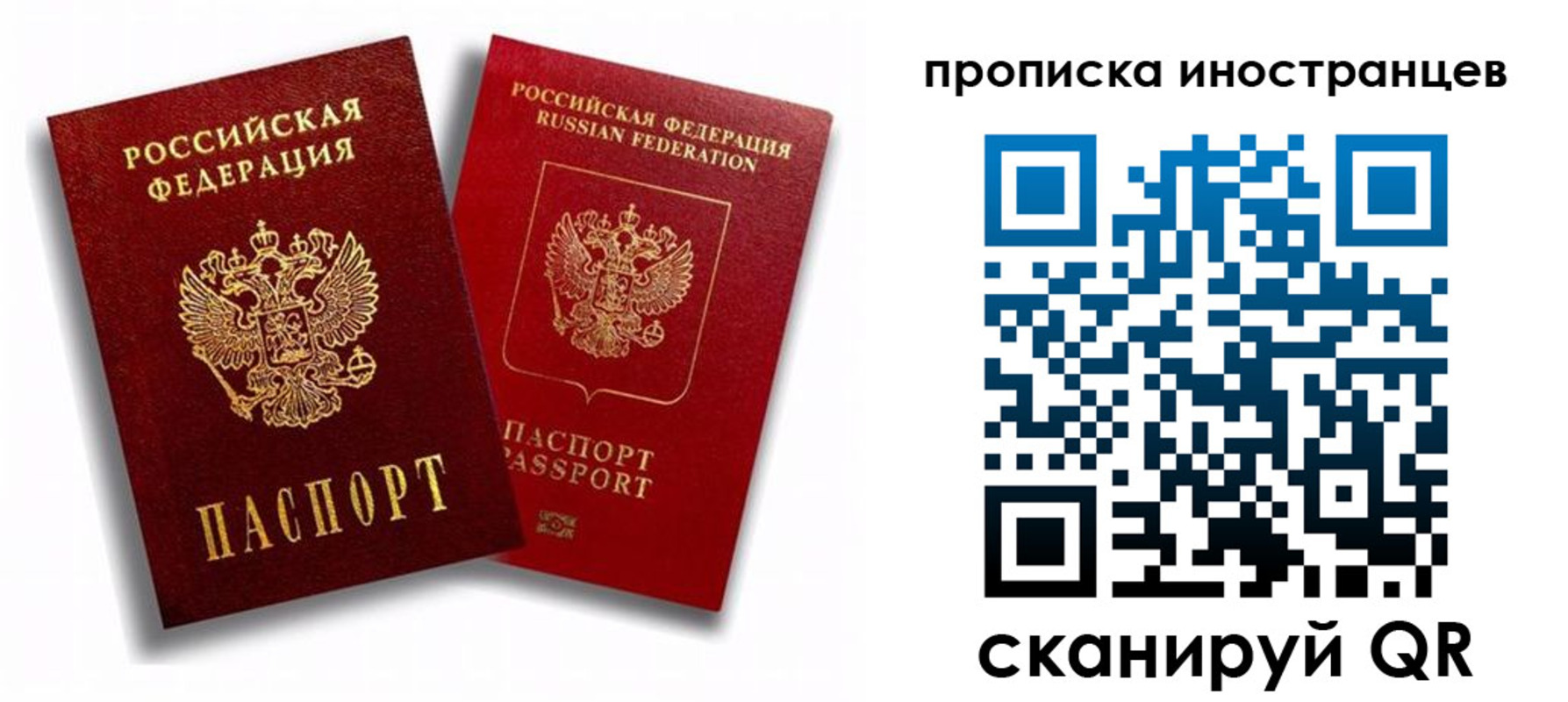 прописка паспорт в Электрогорске